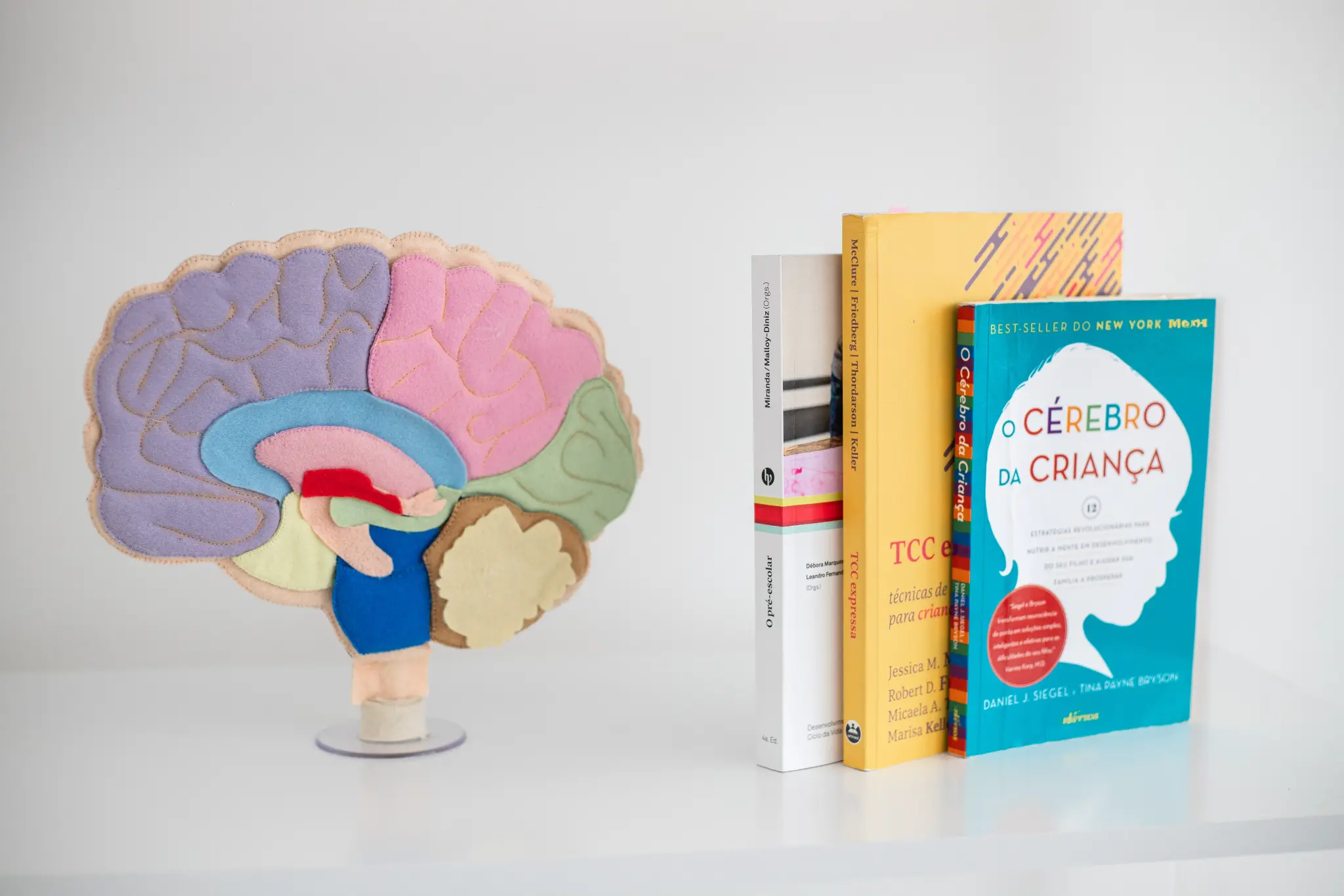 Modelo de cérebro e livros especializados em neuropsicologia infantil